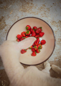 FARMER PROTEIN POWDER